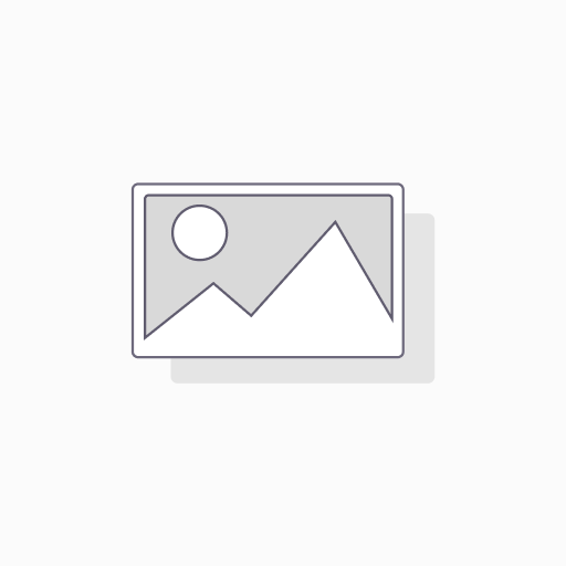 The 6-Month Certification Program